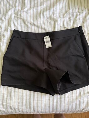 Express Black Dress Shorts